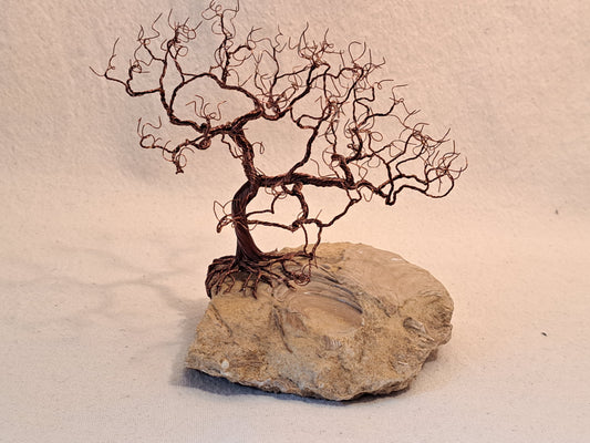 Copper Wire Tree on Fossil Base